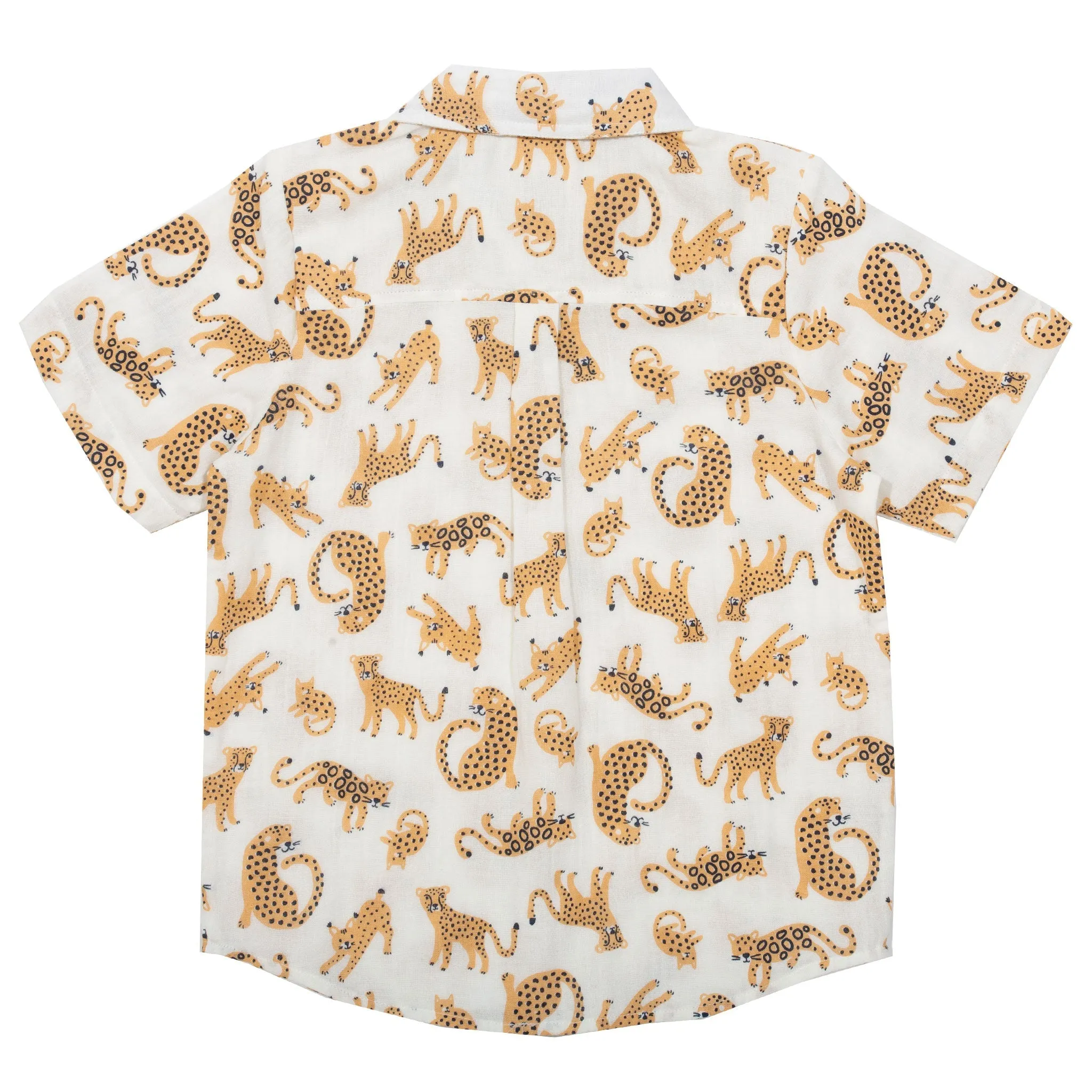 Cat kingdom shirt